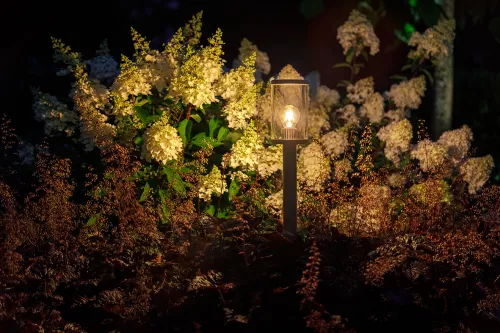 LightPro Eros Hi (214P)